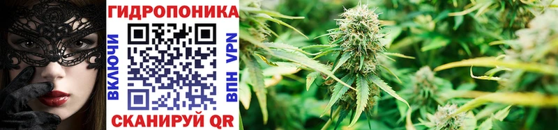 цены   Бикин  Каннабис White Widow 